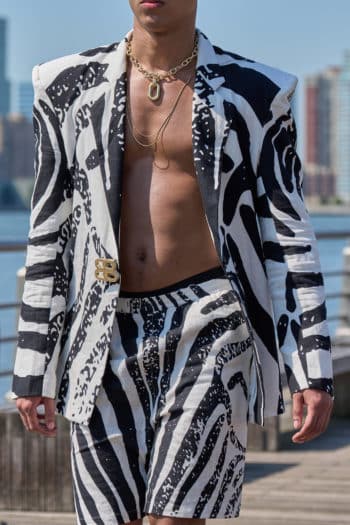 Male zebra print suit bronx & banco